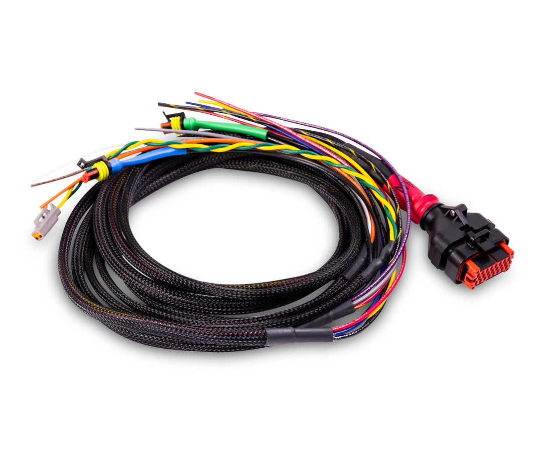 Wakespeed Negative CAN Harness